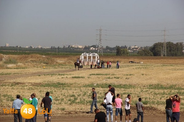 horse race 0602 (9).JPG